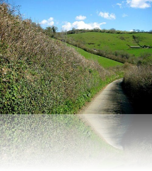 Click on next picture to view